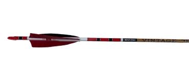 Pfeile -Black Eagle-
